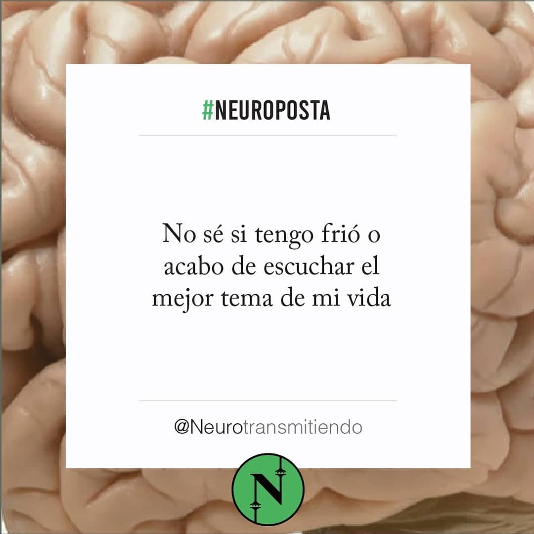 #Neuroposta
