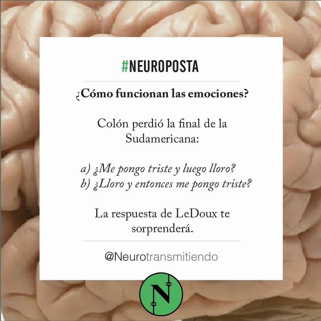#Neuroposta
