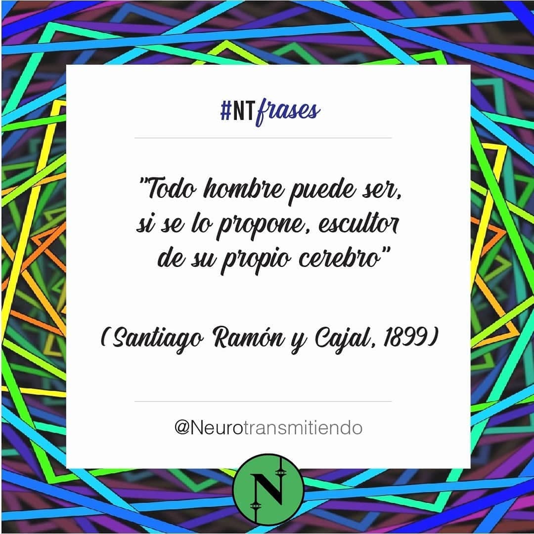 #NTfrases ... y si no se lo propone también, ya que la neuroplasticidad ocurre todo el tiempo 😅😏🧠