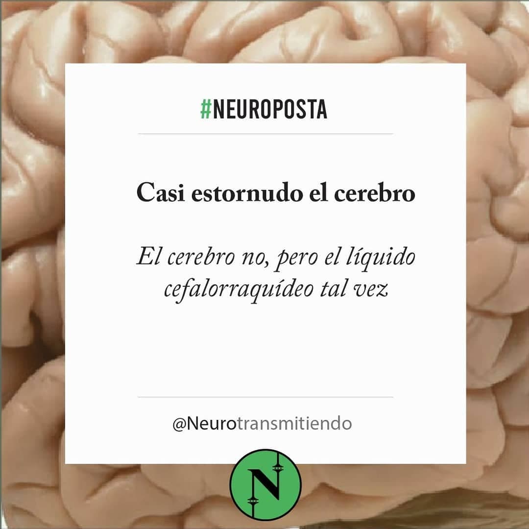 #Neuroposta En general cuando estornudás te salen mocos de la nariz, pero existe gente muy particular a la que le pued