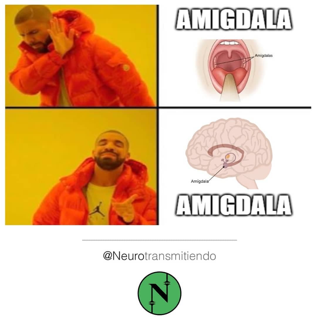 Igual, pero diferente.