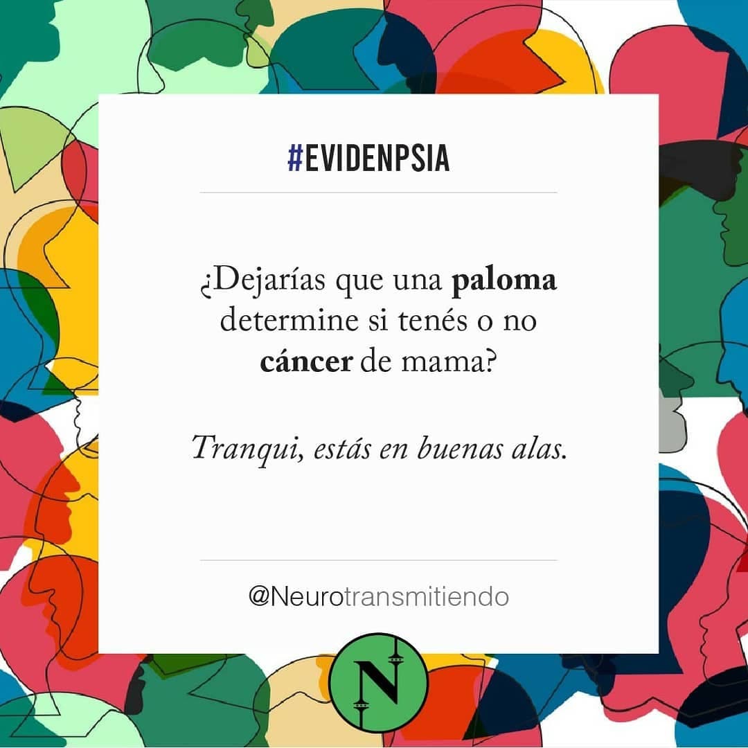#Evidenpsia 🌎 ¿Alguna vez te has sentado en alguna banca, has visto a las palomas y pensado que van a conquistar al mund