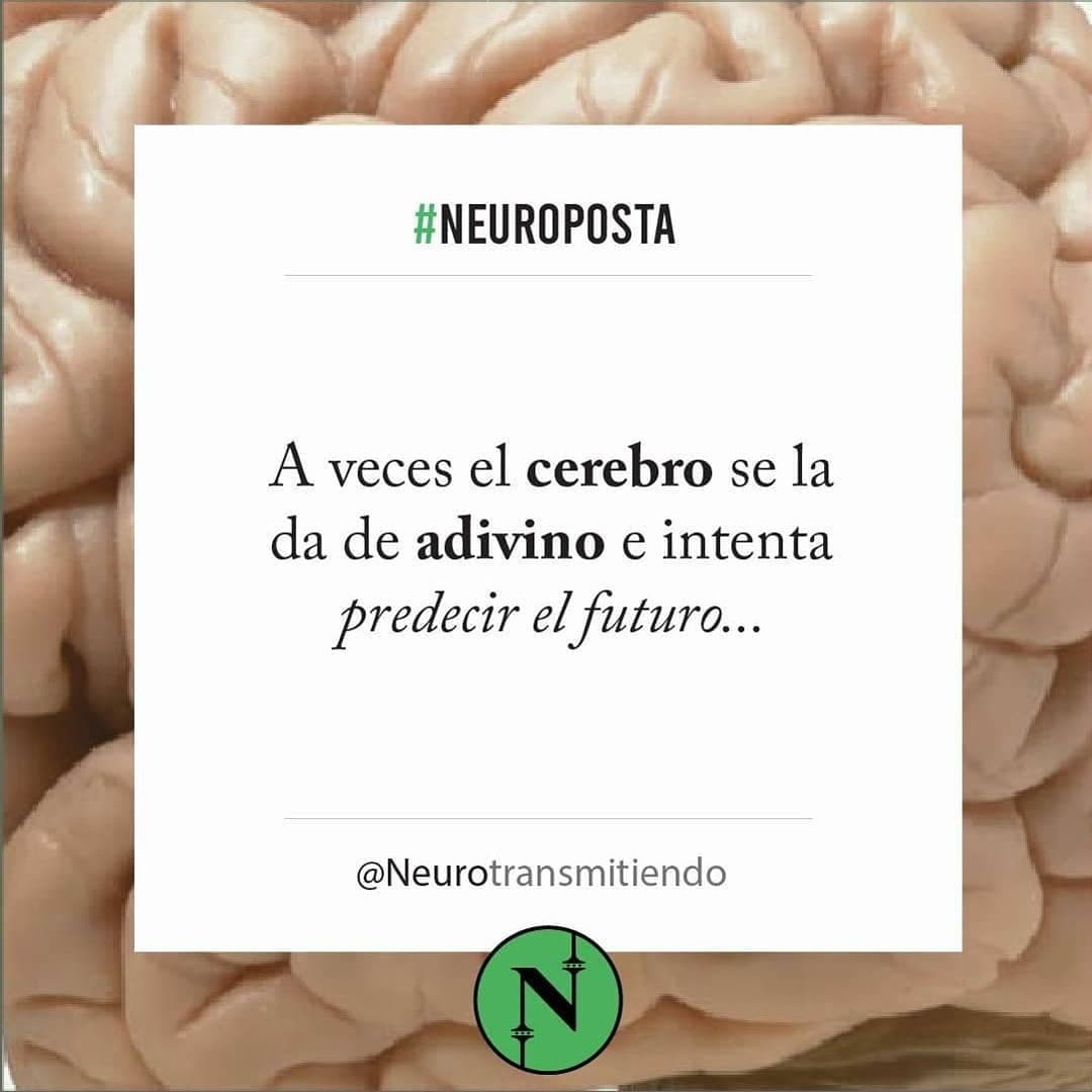 #Neuroposta