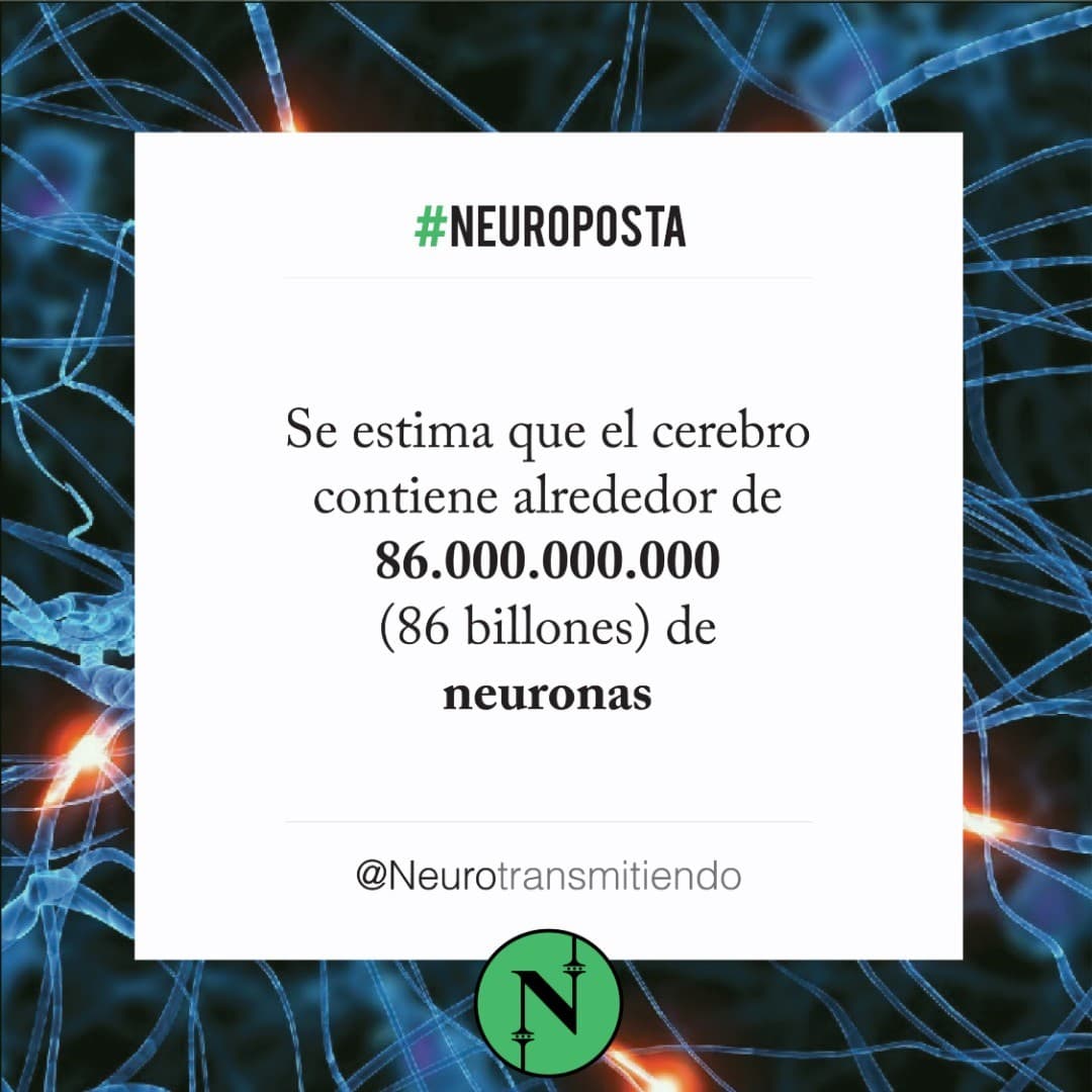 #Neuroposta