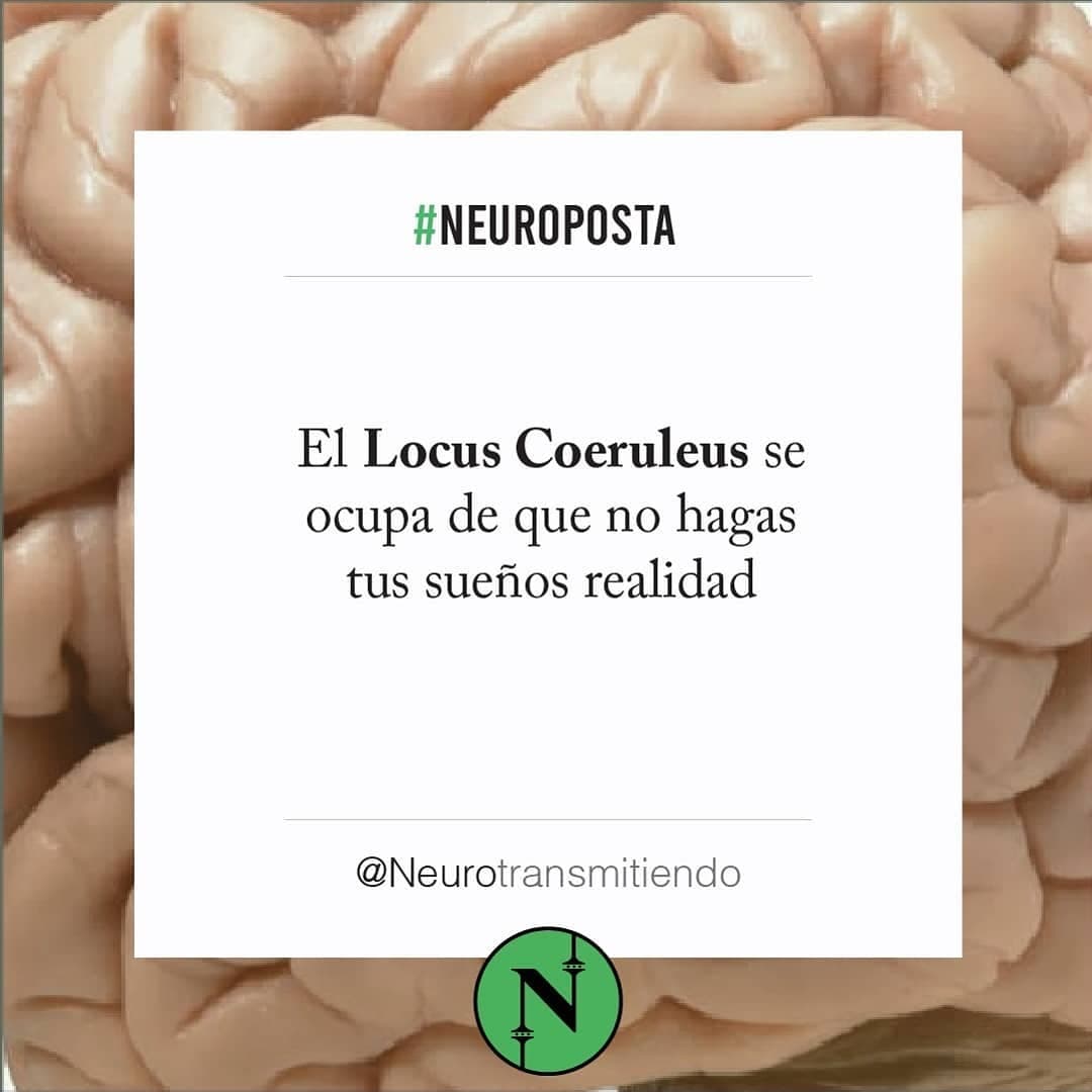 #Neuroposta