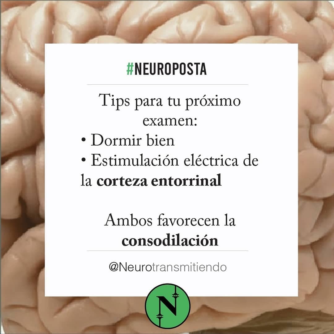 #Neuroposta