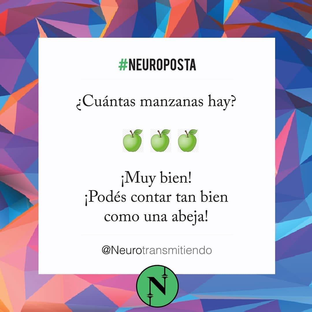 #Neuroposta