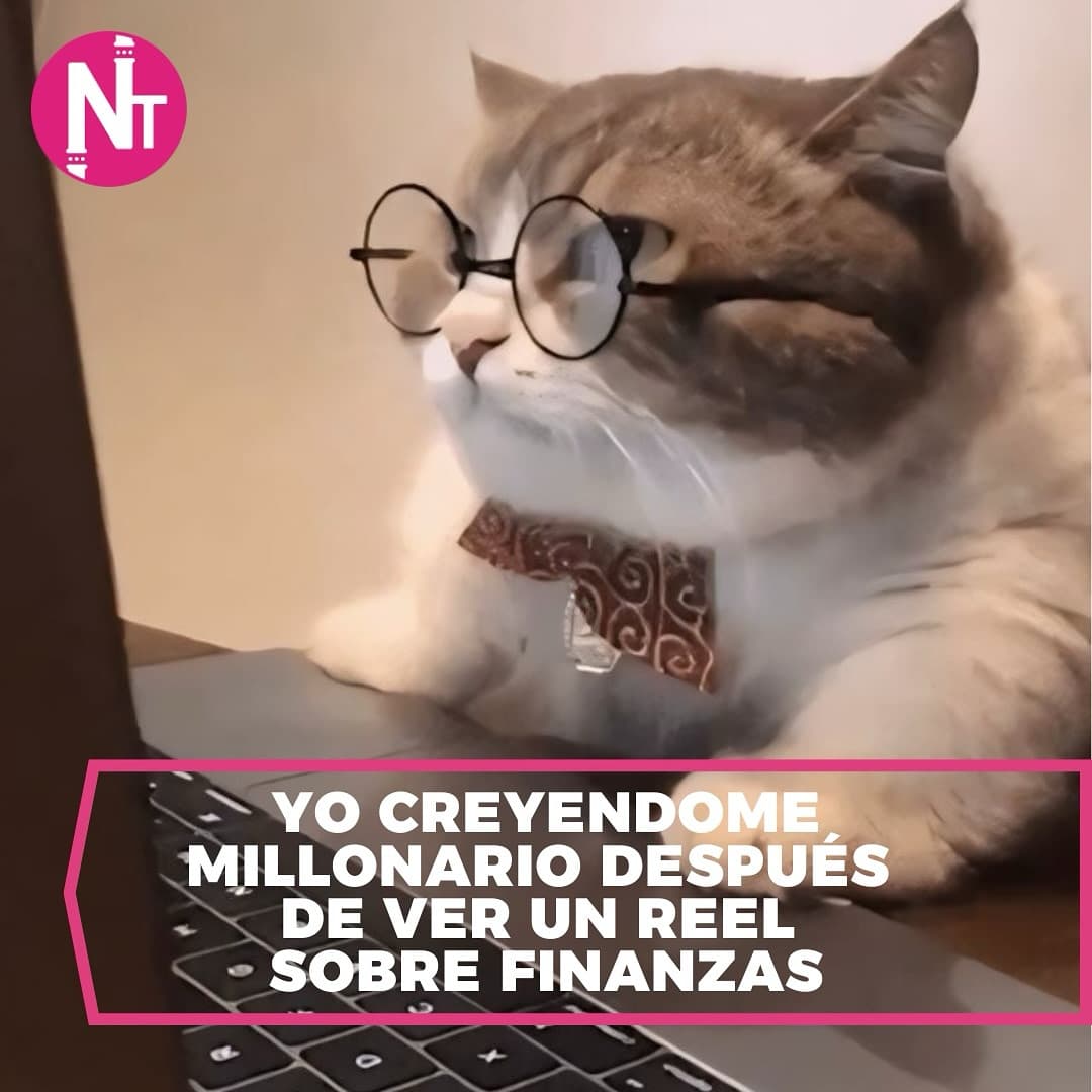 Te sentiste un experto después de ver un video o leer un artículo?