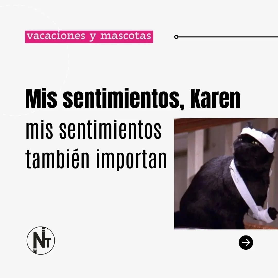 En el #DíaInternacionalDelGato, leé lo que tu Michi tiene para decirte.