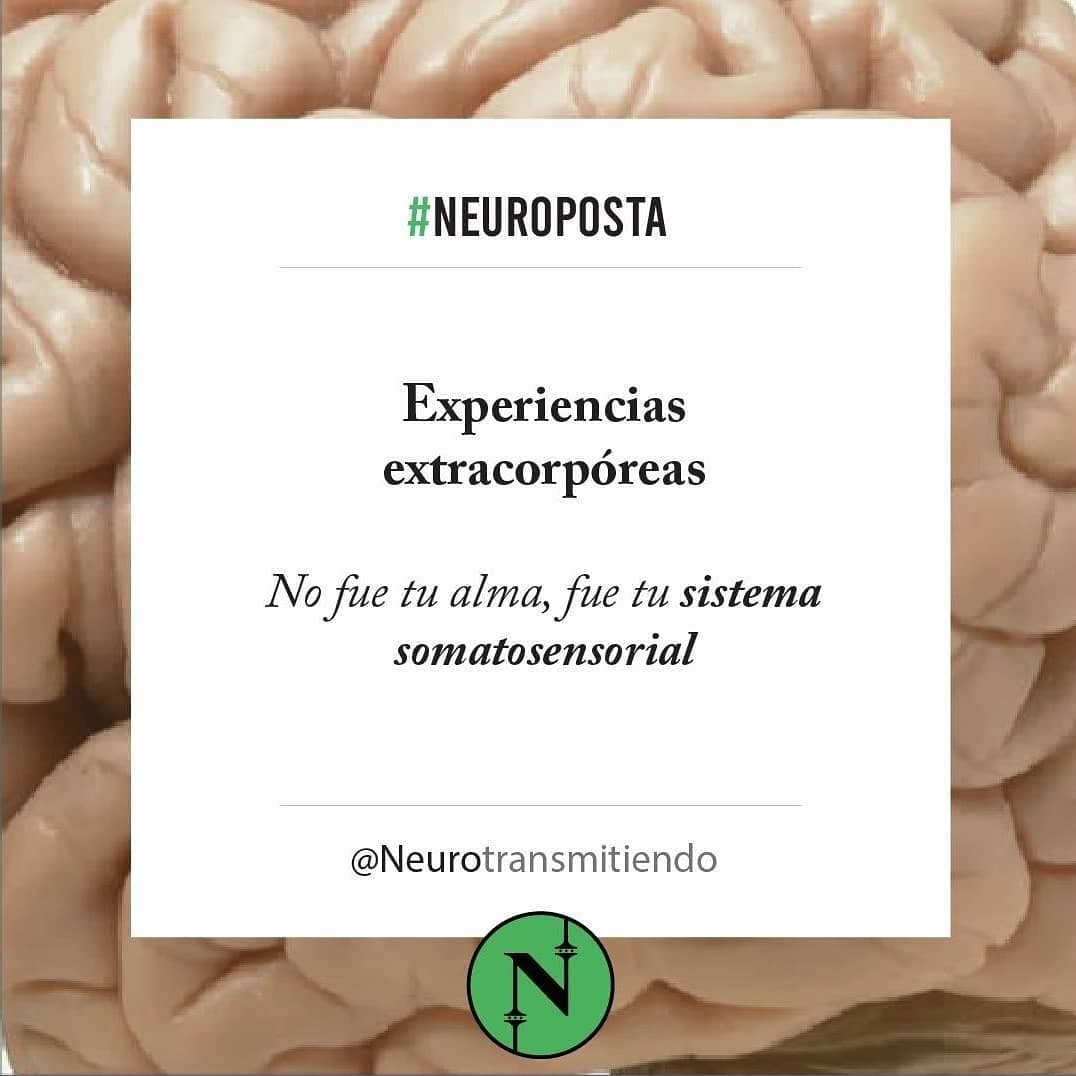 #Neuroposta