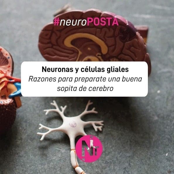 #Neuroposta