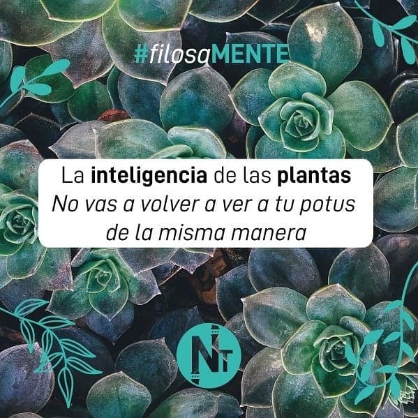 #Filosamente