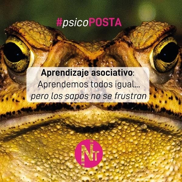 #Psicoposta