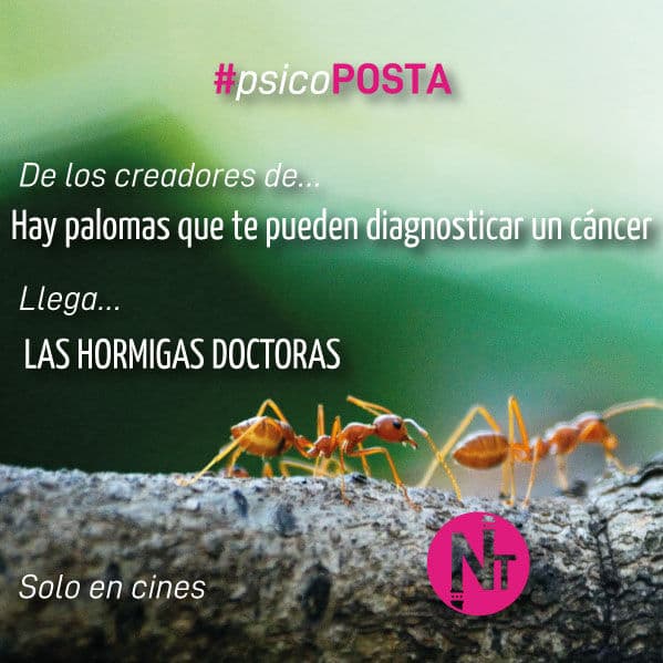 #HormigaPosta