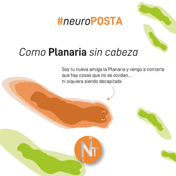 #Neuroposta