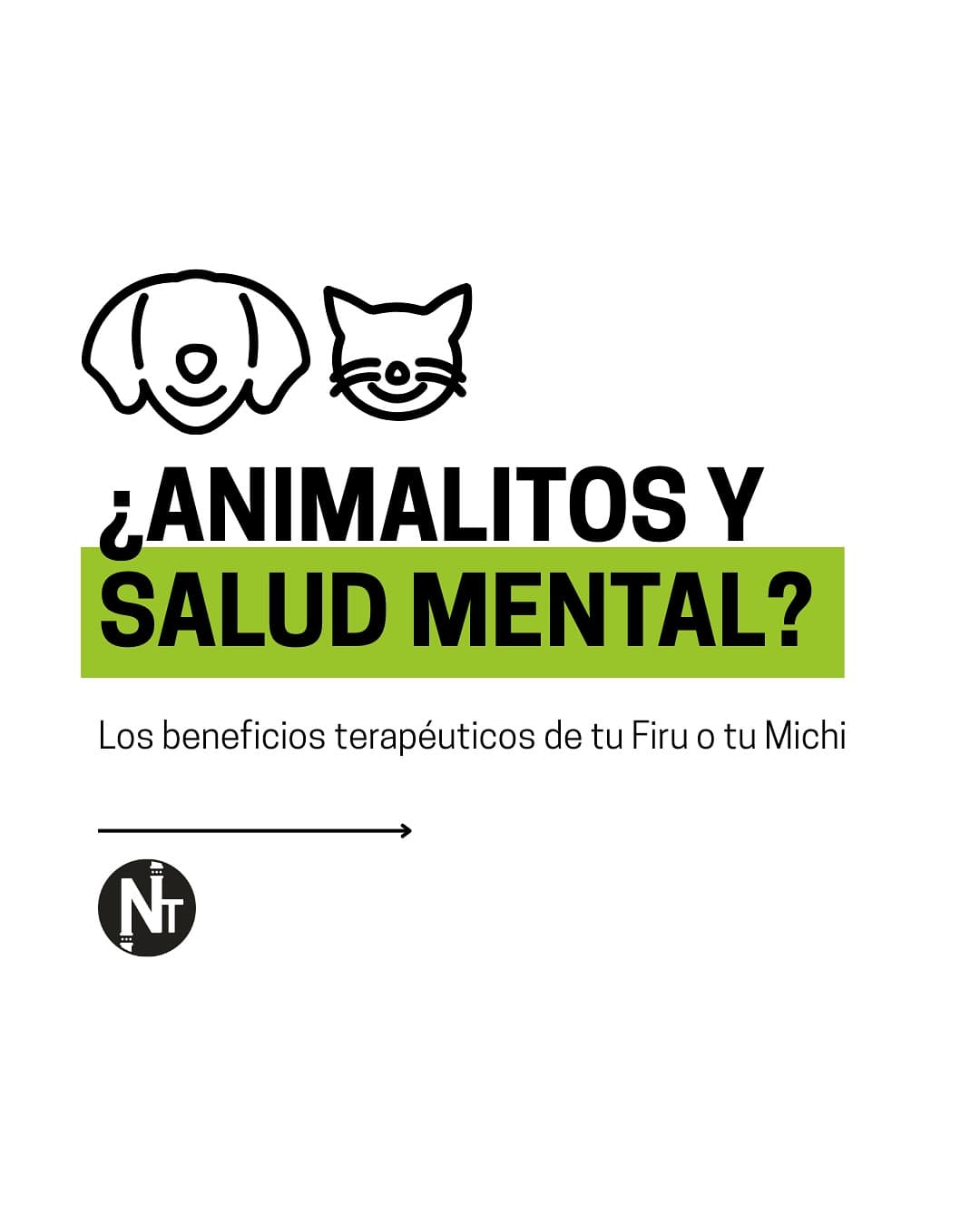 ¿Sabías que Freud atendía con su perro Jofi en el consultorio? 🐕