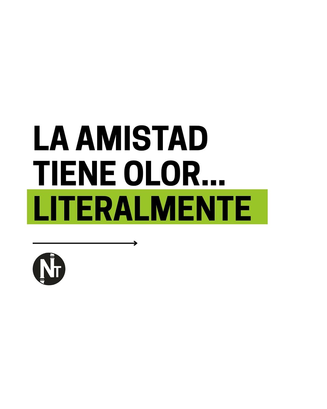 La ciencia encontró algo inesperado: nuestro olfato podría estar eligiendo amigos antes que nuestra conciencia.